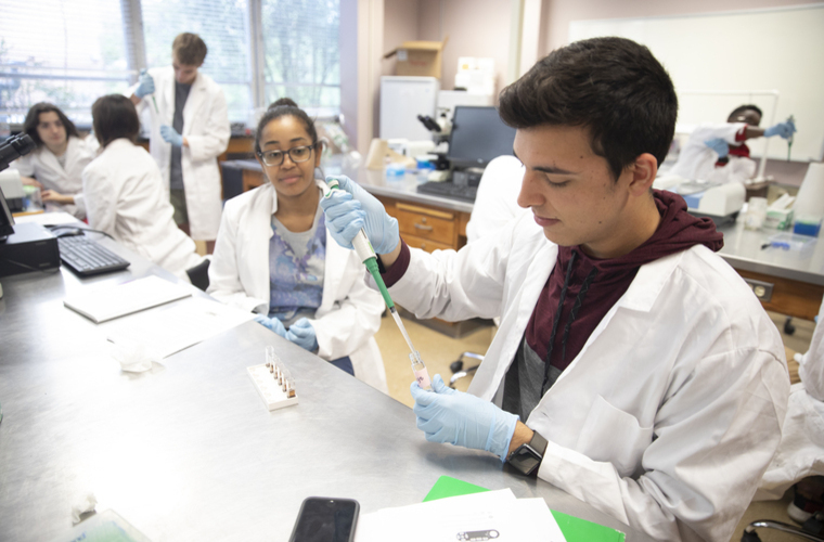 Biology - Microbiology - lab