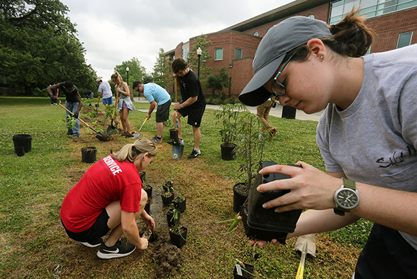 UL Lafayette students help prepare a bioswale