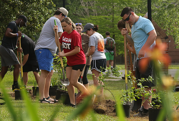 UL Lafayette volunteers participate in sustainability efforts by planting trees
