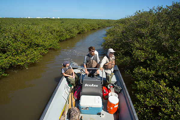 Research happening in Louisiana's marshes and wetlands to improve coastal health