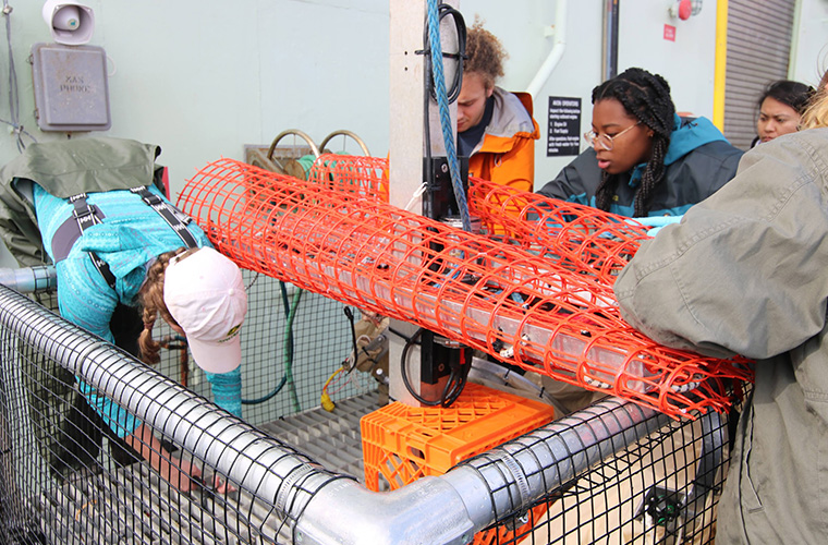 UL Lafayette Biology graduate students conducting research 