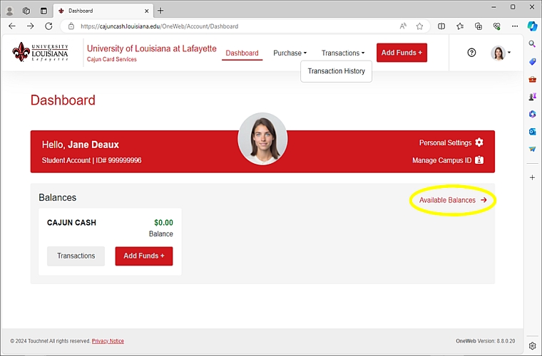 Screenshot of where to click to get your balance