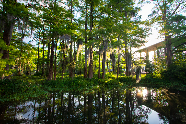 Cypress Lake at UL Lafayette