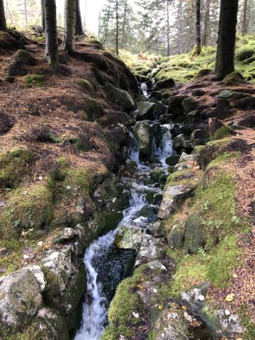 Photo by Teustch of Norway 